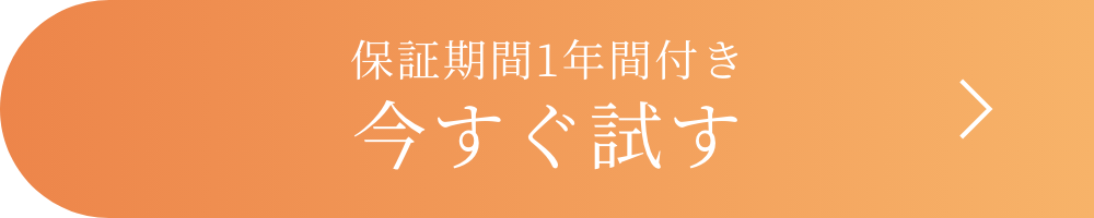 保証期間1年間付き 今すぐ試す