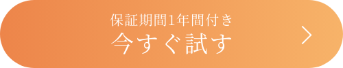 保証期間1年間付き 今すぐ試す