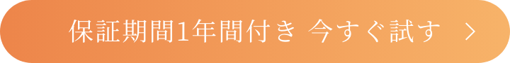 保証期間1年間付き 今すぐ試す