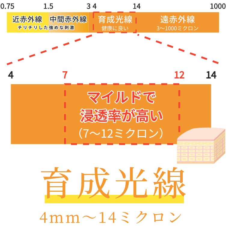 育成光線イラスト