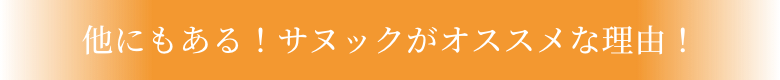 他にもある！サヌックがオススメな理由！